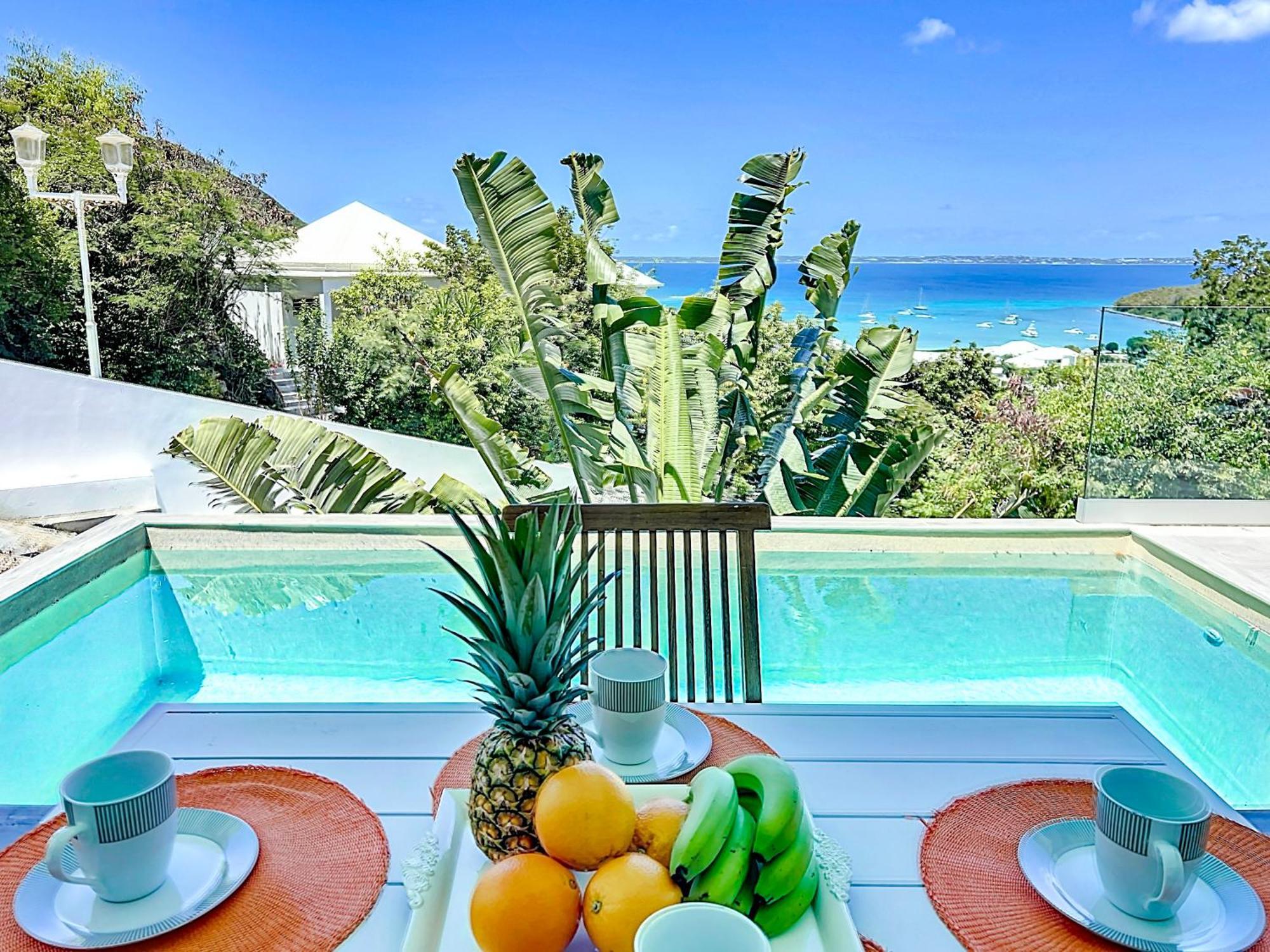 Villa Romane Private Pool Breathtaking Sea View Anse Marcel Exterior foto